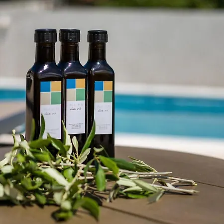 Leon For 8 People With Private Pool & Pet Friendly Near Novigrad * Brtonigla